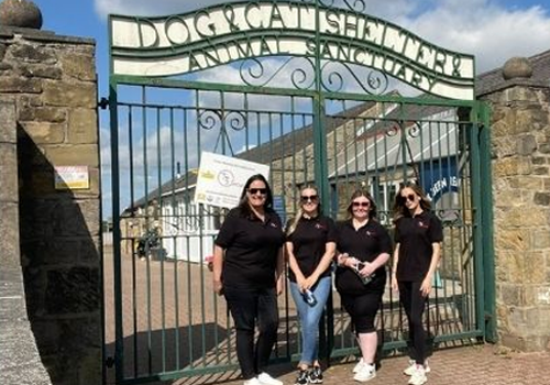 volunteering at newcastle dog and cat shelter