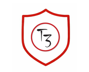 T3 Security Core Values Icon