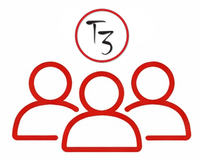 T3 Security Social Icon