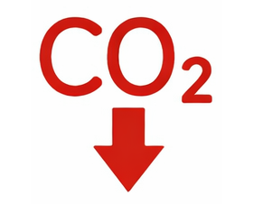 T3 Security Carbon Reduction Icon